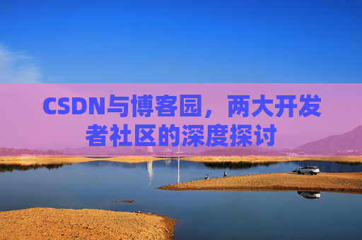 CSDN与博客园，两大开发者社区的深度探讨